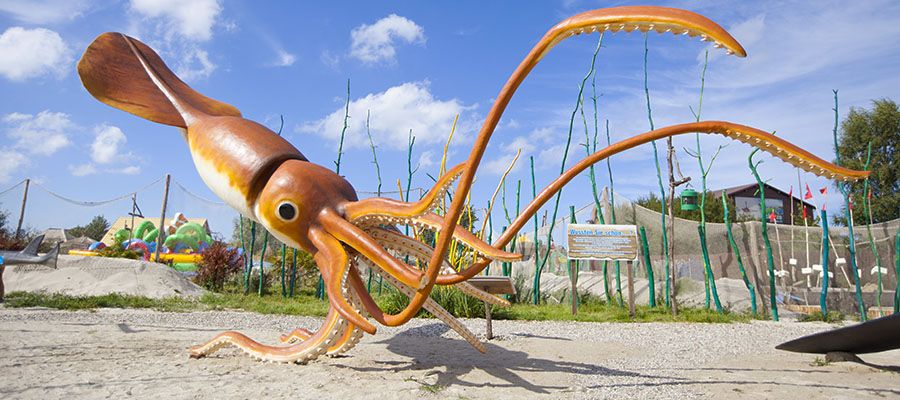 Park Wieloryba w Rewalu – Morska przygoda dla całej rodziny